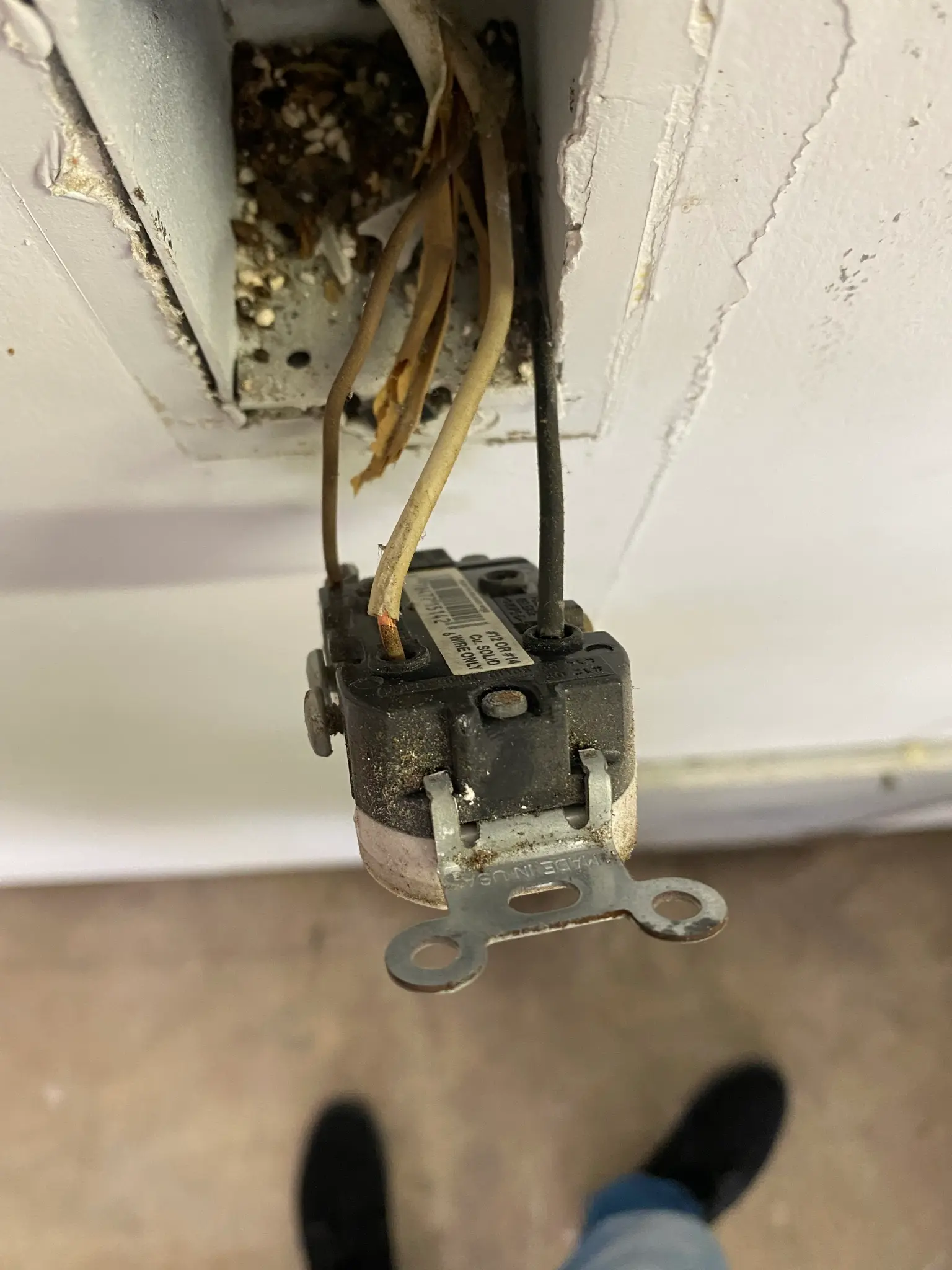 Backstabbed electrical receptacle that caused a lost neutral on the circuit
